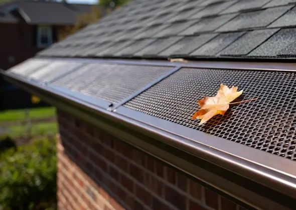 Gutter Guard Services in Seneca