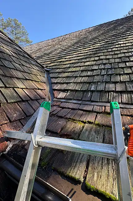 Affordable Gutter Cleaning