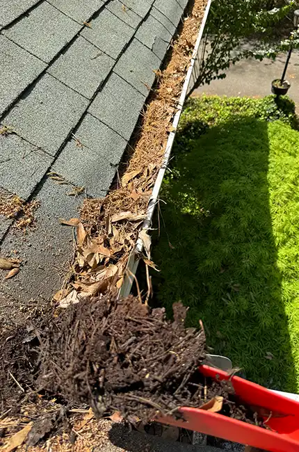Speed Gutter Cleaning professional